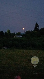 Рязанцы делятся фотографиями «клубничной» луны