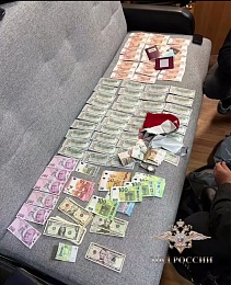 Полиция поймала обворовавших рязанские дома на 15 млн рублей иностранцев 