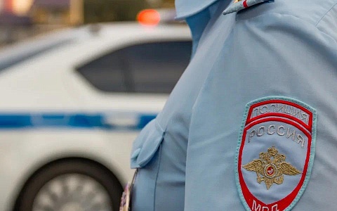 Рязанская Госавтоинспекция провела занятие в детских лагерях 