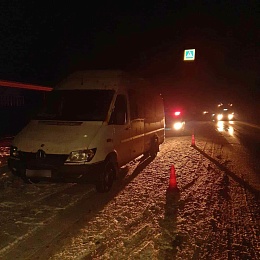 Рязанская полиция помогла маме с младенцем из сломавшегося на трассе автобуса