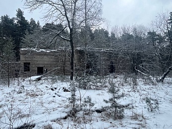 В рязанском лесу сфотографировали заброшки и лестницу в никуда - 62ИНФО В рязанском лесу сфотографировали заброшки и лестницу в никуда