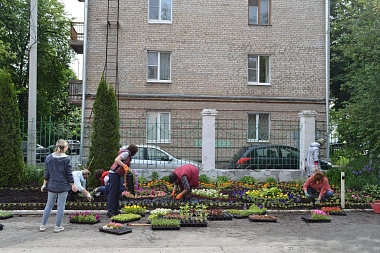 В рязанской школе № 14 перед последним звонком высадили 14 тысяч растений - 62ИНФО В рязанской школе № 14 перед последним звонком высадили 14 тысяч растений
