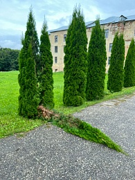 В Скопине Рязанской области вандалы напали на Свято-Духов монастырь