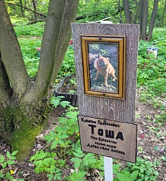 В Рязани организовали стихийное кладбище домашних животных