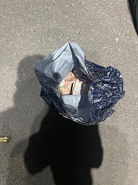 Рязанская полиция опубликовала кадры силового задержания Василевского 