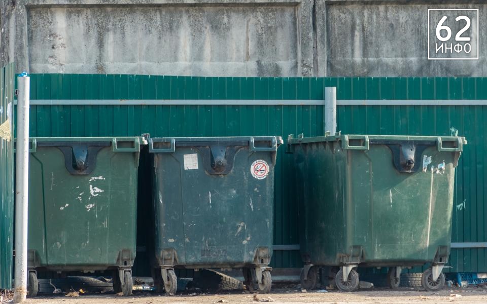 Рязанцам запретили выбрасывать в мусорки траву, листву и ветки - 62ИНФО