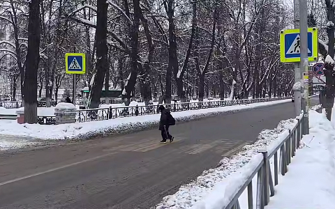 Павел Малков рассказал о найденных при проверке школьных маршрутов рисках