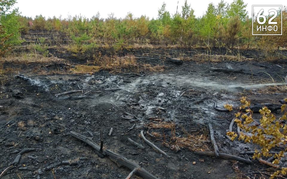 Гроза стала причиной двух пожаров в лесах Рязанской области - 62ИНФО