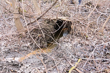 Мэр Рязани Артёмов провёл субботний объезд соцобъектов