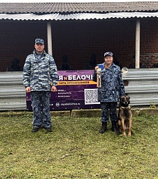 Собачье дело: в Рязанской области прошли сборы кинологов