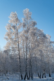 Рязанская епархия показала фотографии митрополита Марка - 62ИНФО Рязанская епархия показала фотографии митрополита Марка