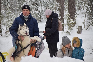 Гонки на собачьих упряжках прошли под Рязанью на пятикилометровой трассе
