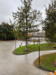 Павел Малков представил рязанцам обновленный Нижний городской парк