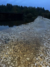 В Пре начала гибнуть рыба после возведения дамбы