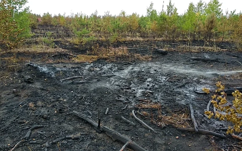 МЧС напоминает рязанцам о штрафе до 400 000 рублей за пал травы