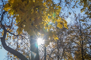 Рязанская епархия показала фотографии митрополита Марка - 62ИНФО Рязанская епархия показала фотографии митрополита Марка