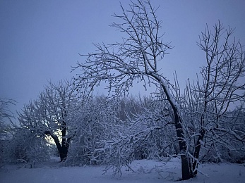Снежное полнолуние марта сфотографировали в рязанской глубинке - 62ИНФО Снежное полнолуние марта сфотографировали в рязанской глубинке