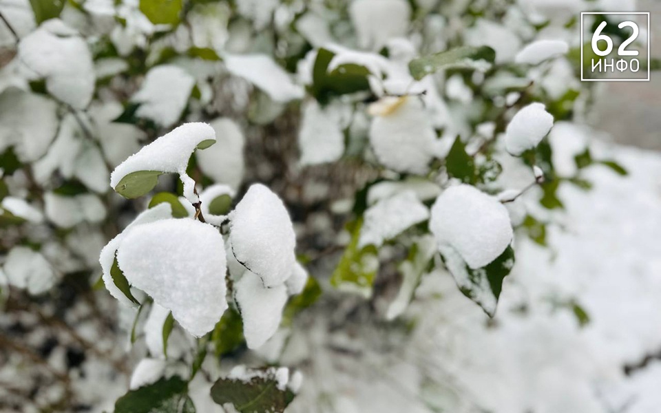 5 ноября в Рязанской области снова будет снег и до 0°С - 62ИНФО