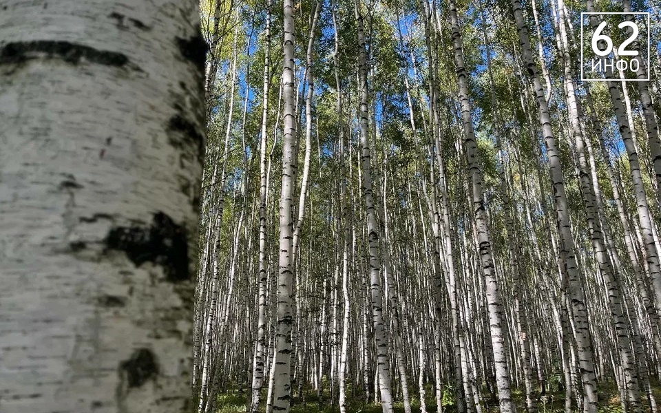  Павел Малков поздравил с Днем воссоединения ДНР, ЛНР, Запорожья и Херсонщины с Россией - 62ИНФО