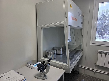 В Спасске на месте сгоревшей в 2022 ветстанции открыли новое здание