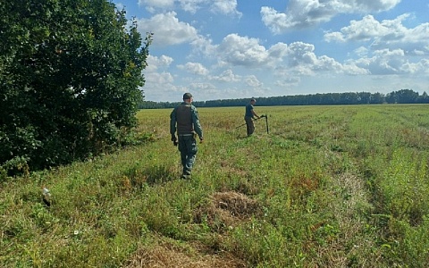 Под Рязанью ищут упавший самолет