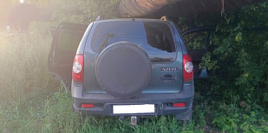 Два ребёнка пострадали в спровоцированной неизвестным аварии в Рязани