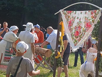 В Гусе Железном прошли гонки гусей