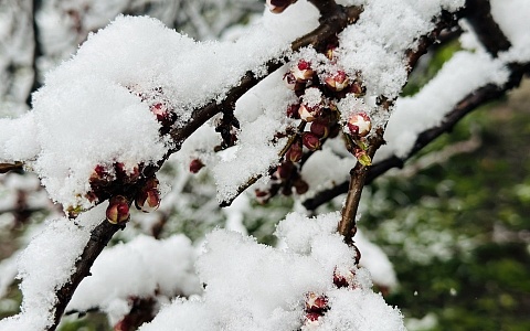 В Рязанской области резко похолодает