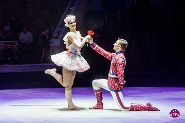 В Рязанском цирке представят шоу Гии Эрадзе «Песчаная Сказка» 