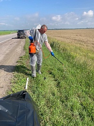 Ветслужба утилизировала умершего у трассы кабана в Рязанской области