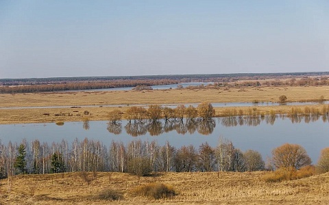 495 см выше нулевой: Ока у Рязани выросла на 30 см к утру 5 апреля