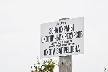 Дым без огня. Как выглядит лесной пожар под Рязанью спустя неделю 