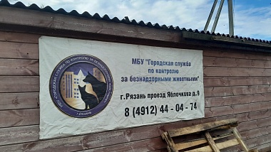 Мэрия Рязани показала новое место городского приюта