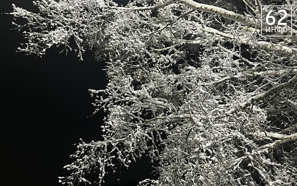 В мерзлом месяце апреле: в Рязани ударят морозы с метелью - 62ИНФО