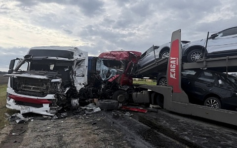 Автовоз попал в аварию в Михайловском округе