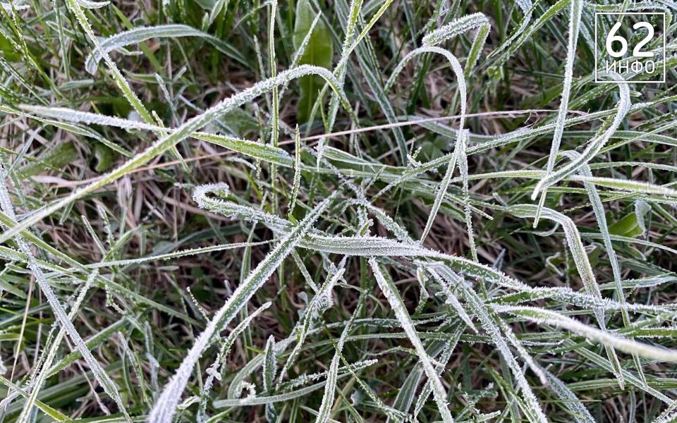 Дождь и шквальный ветер обрушатся на рязанцев 20 ноября - 62ИНФО