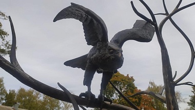 В микрорайоне Соколовка в сквере «Сокол» установили сокола