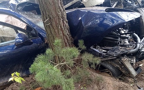 В ГАИ рассказали подробности массового смертельного ДТП на М-5 В ГАИ рассказали подробности массового смертельного ДТП на М-5