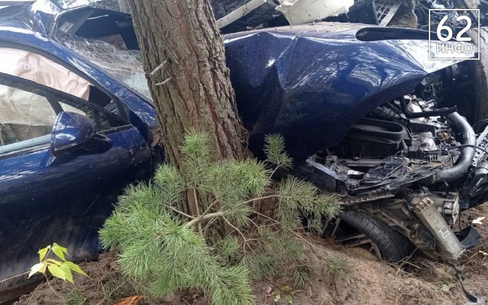 В ГАИ рассказали подробности массового смертельного ДТП на М-5 - 62ИНФО В ГАИ рассказали подробности массового смертельного ДТП на М-5 - 62ИНФО