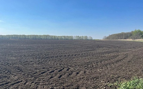 В Рязанской области в весеннюю посевную увеличат площади под масличные культуры