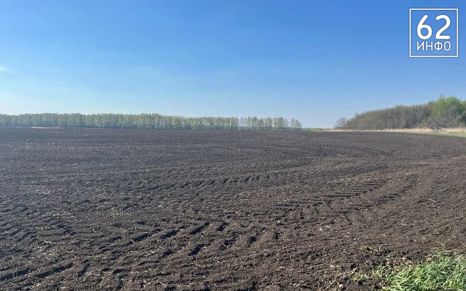 В Рязанской области в весеннюю посевную увеличат площади под масличные культуры - 62ИНФО