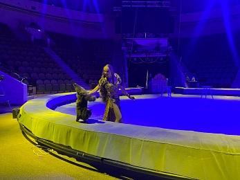 Рязанский цирк представил новогоднее шоу "Тайна пирата"