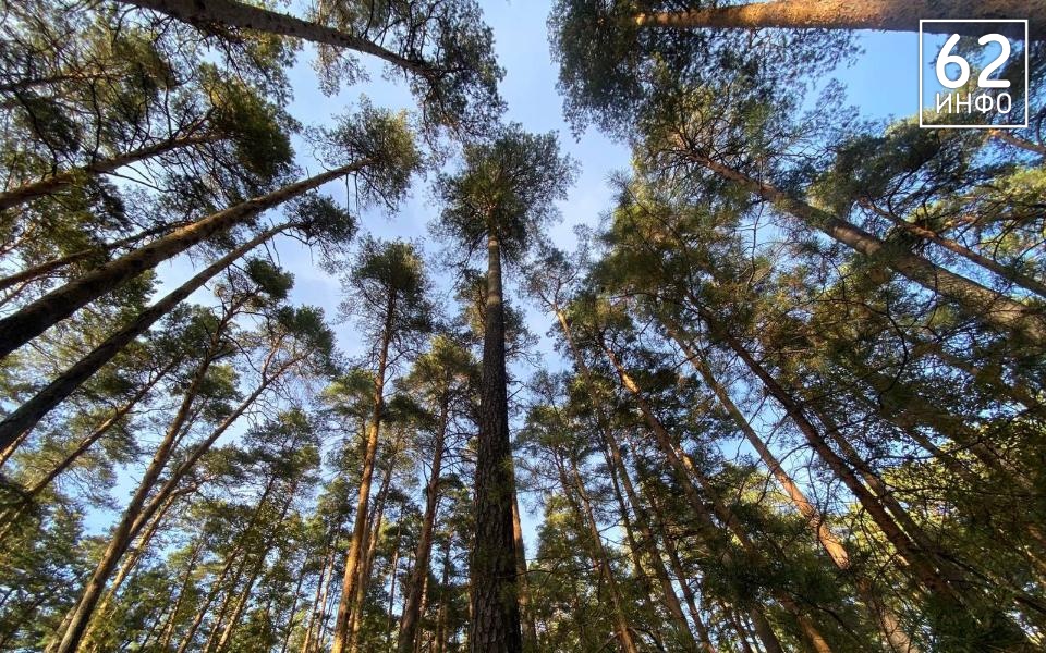 Рязанцам рассказали о погоде на 18 августа - 62ИНФО