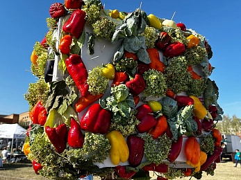 В Рязани провели праздник урожая «Спожинки»