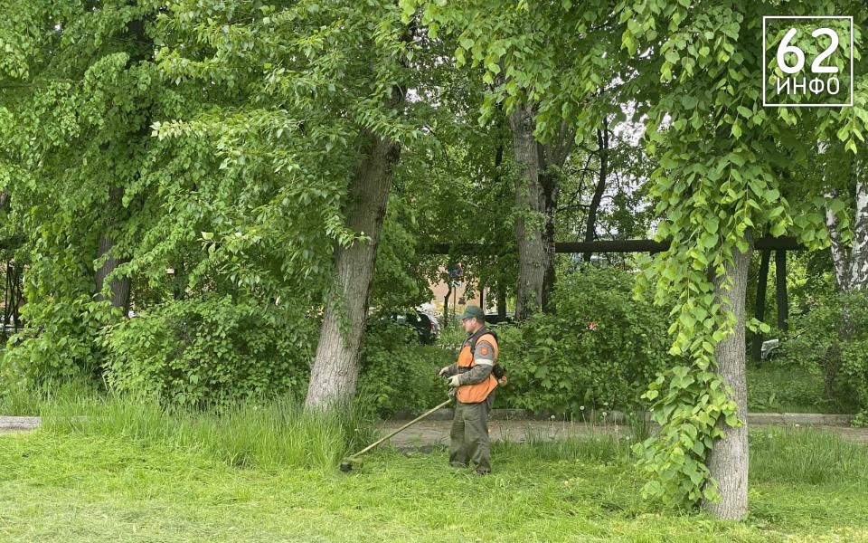 Рязань начала поиск подрядчика на покос травы и уборку - 62ИНФО