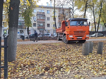 В Рязани корчуют деревья в сквере на Есенина - 62ИНФО В Рязани корчуют деревья в сквере на Есенина