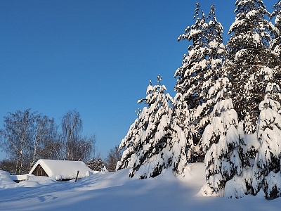 Есть рекорд: в Окском заповеднике измерили сугробы