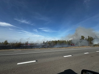В Ерахтуре под Шиловом загорелись поля между АЗС и лесом