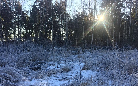 Чучковец ради ископаемых уничтожил плодородную землю