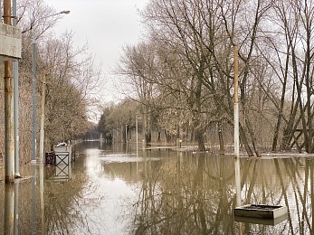 Половодье затопило Лесопарк в Рязани